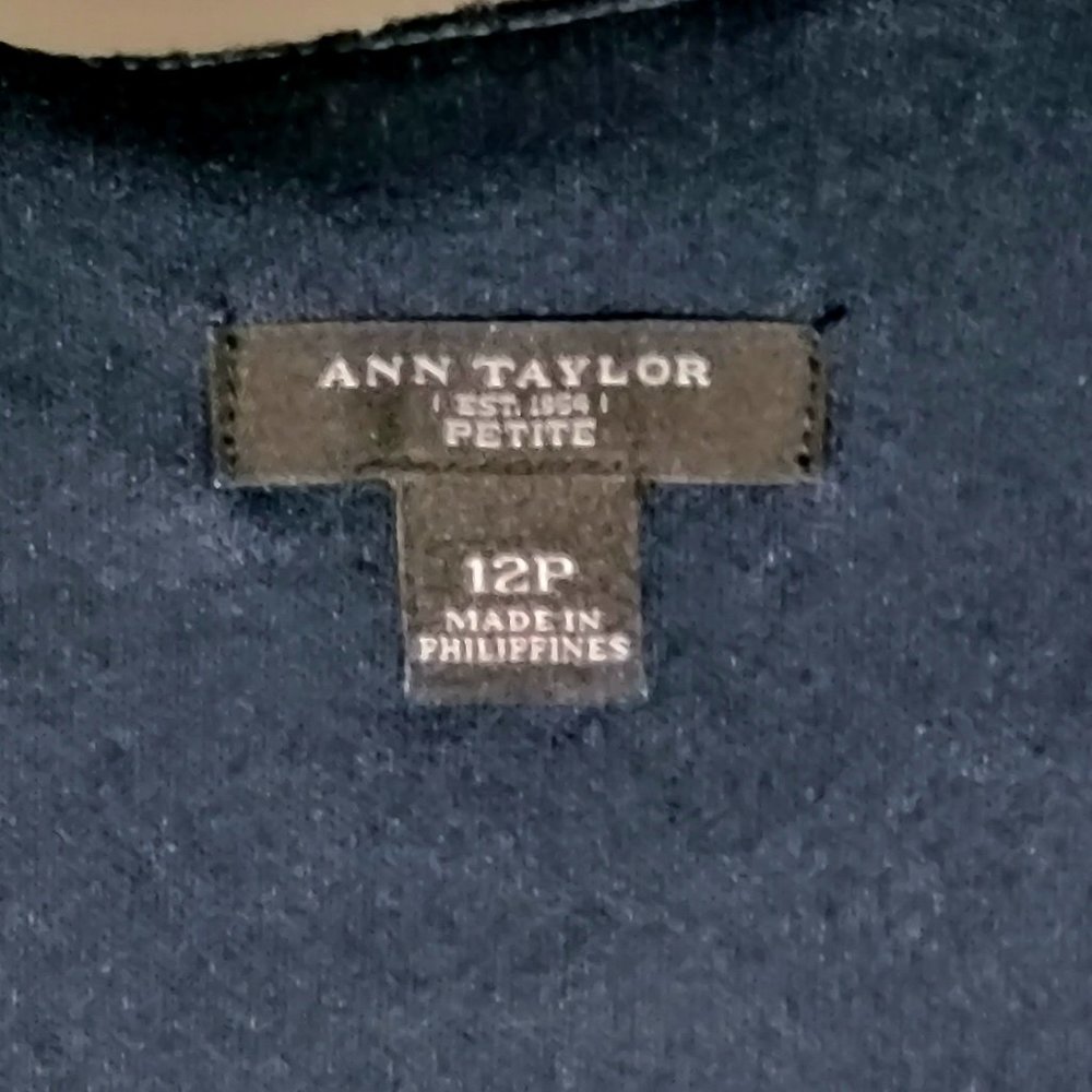 ANN TAYLOR BLUE LADIES DRESS